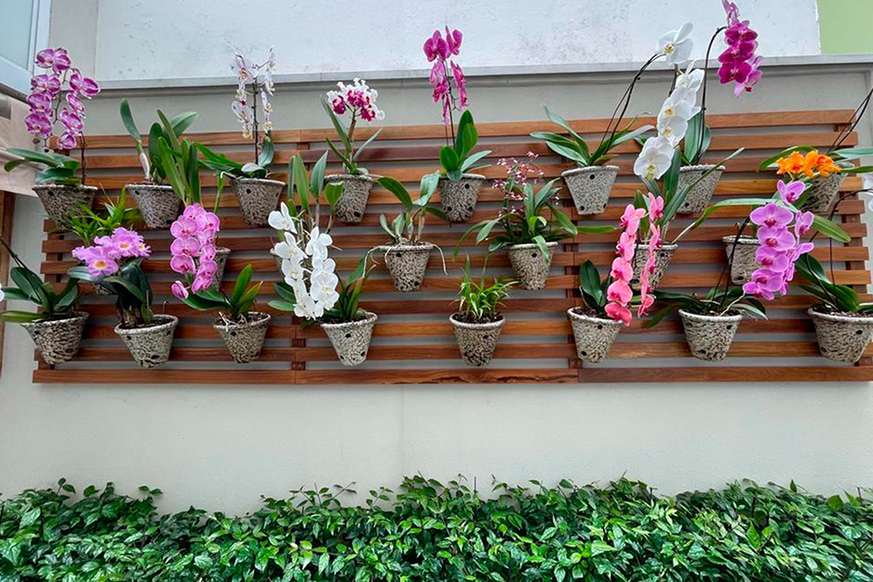 Projeto Orquidário